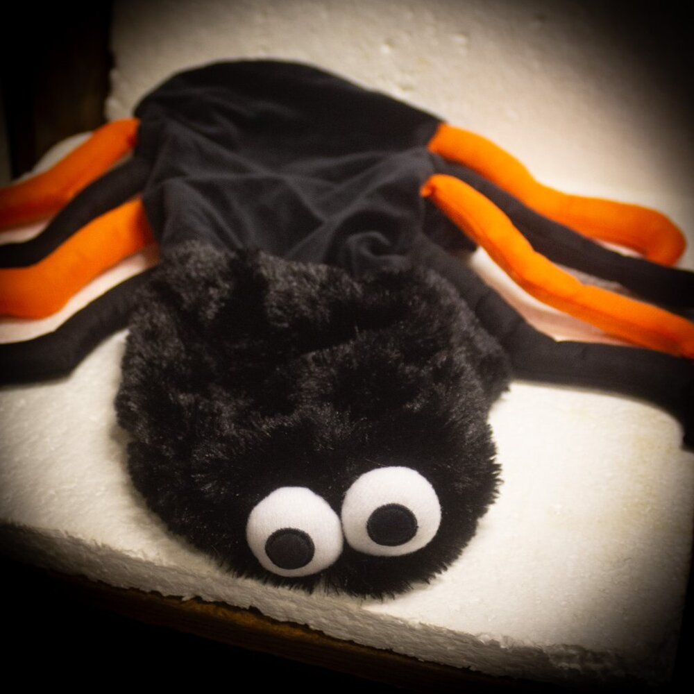 Extra Small/Small Dog Spider Halloween Costume